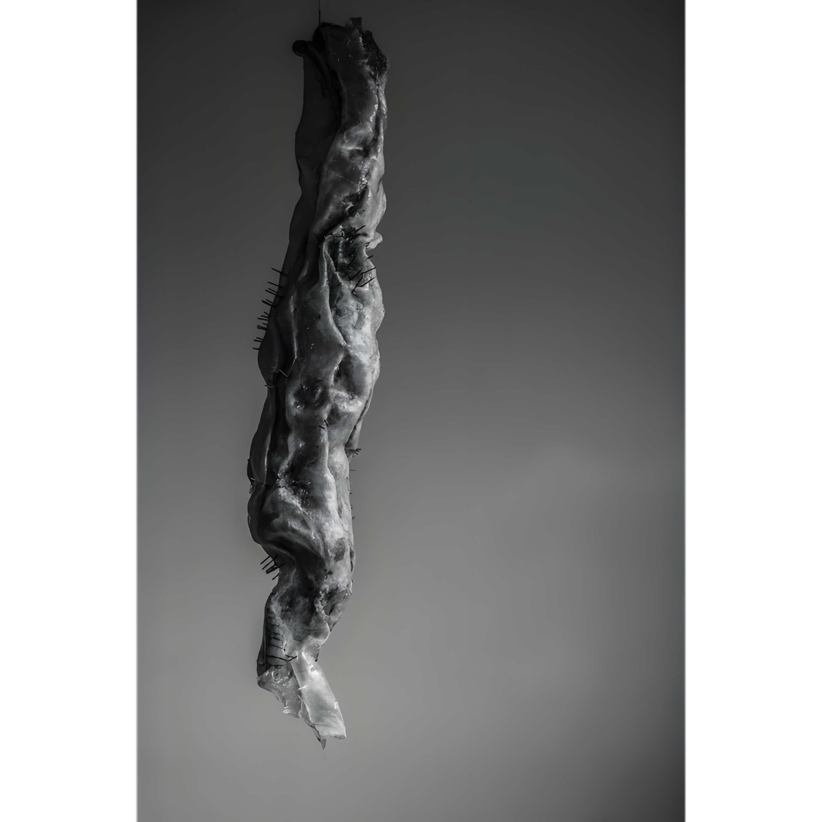 ASJd2QT1QimHPwPYmGzlLA_38098697_700_upscayl_4x_upscayl-standard-4x