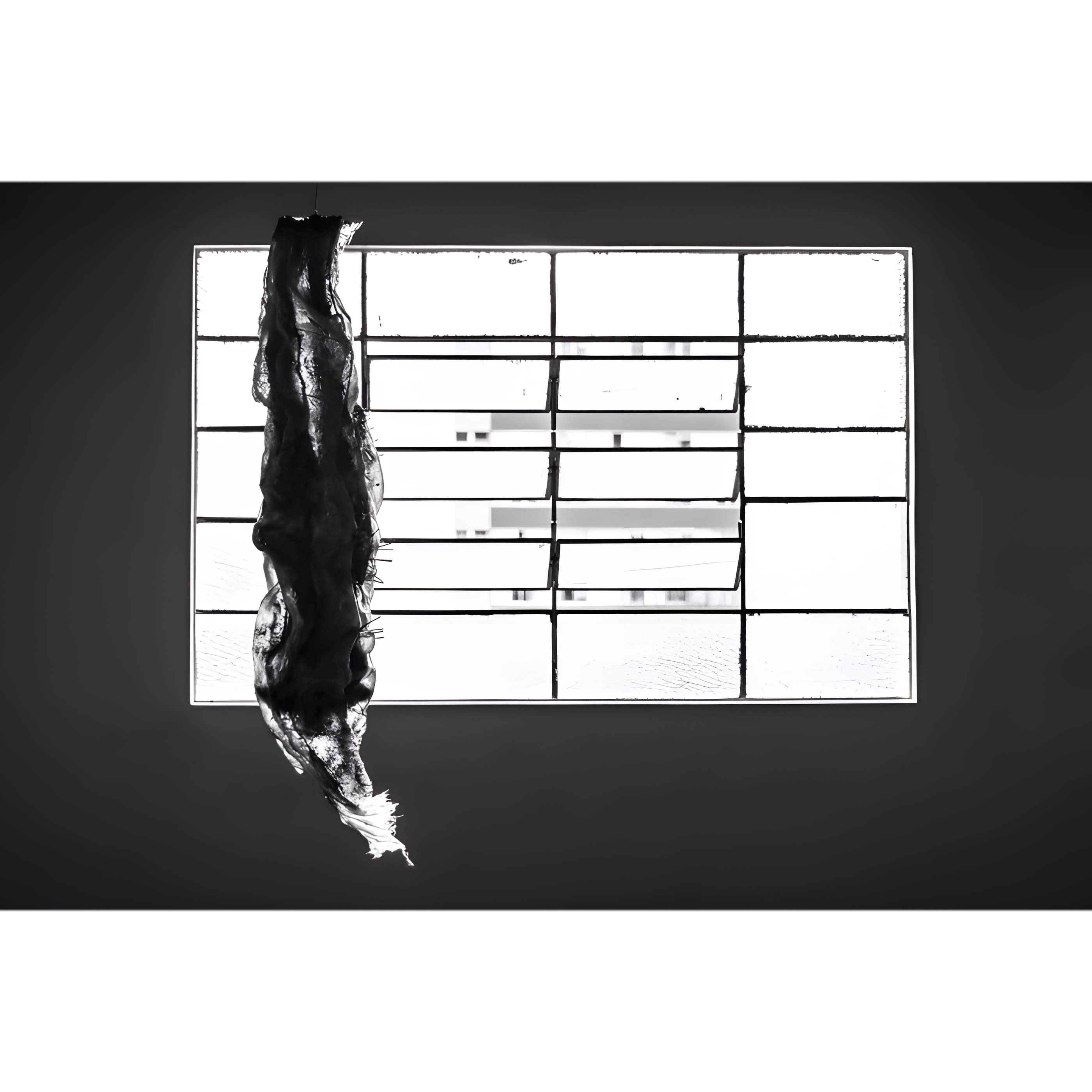 oQnzwyULSiueAAjtIy97vg_38098698_700_upscayl_4x_upscayl-standard-4x